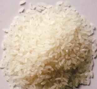 东北特级大米与玉米批发价格详解及市场趋势分析