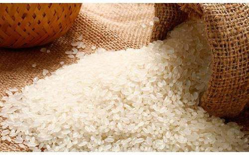 大米与玉米 糖含量解析与健康考量