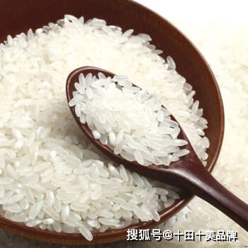 大米的食疗药膳