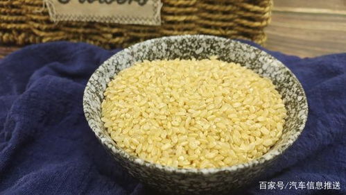 糙米、大米与玉米 营养、口感与食用价值的全方位对比